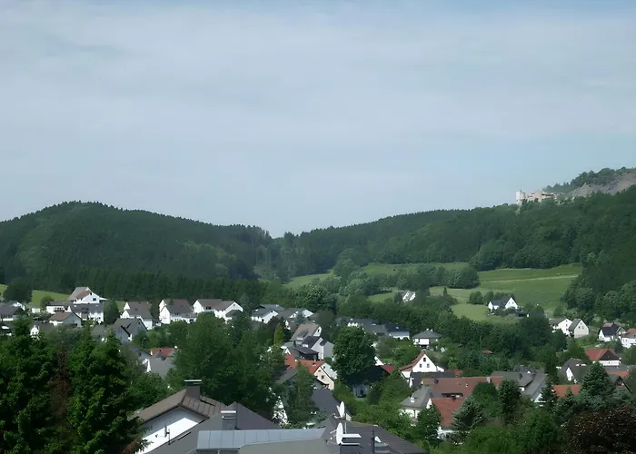 Waltraud Brilon